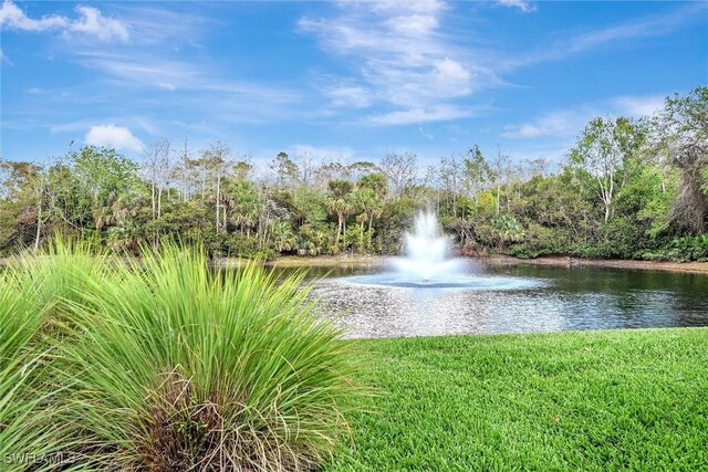 water view
