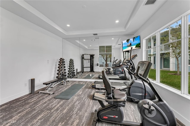 exercise room with a wealth of natural light, a raised ceiling, and baseboards