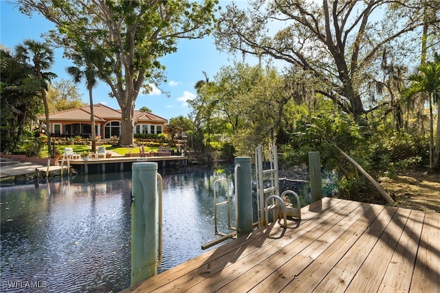 dock area with a water view