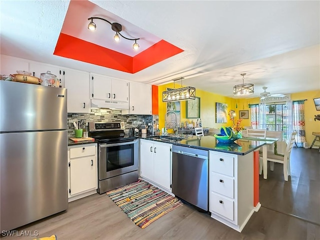 kitchen with dark countertops, a peninsula, a tray ceiling, stainless steel appliances, and under cabinet range hood