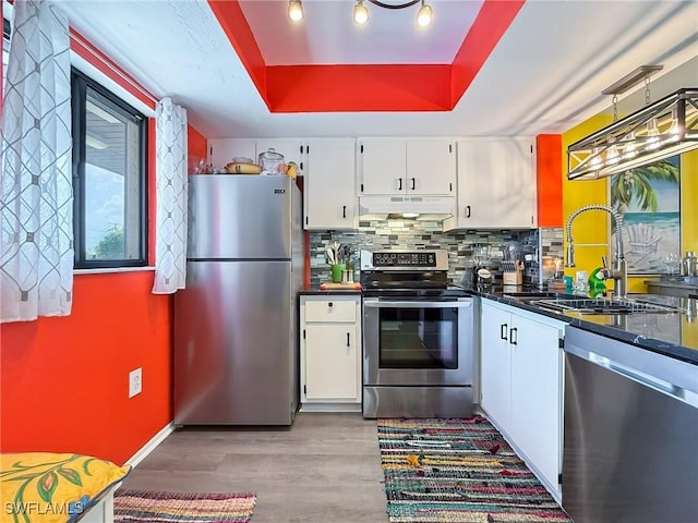 kitchen with a raised ceiling, appliances with stainless steel finishes, under cabinet range hood, white cabinetry, and a sink