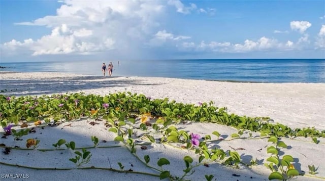 761 Mainsail Pl, Naples, FL 34110 - property view of water featuring a view of the beach