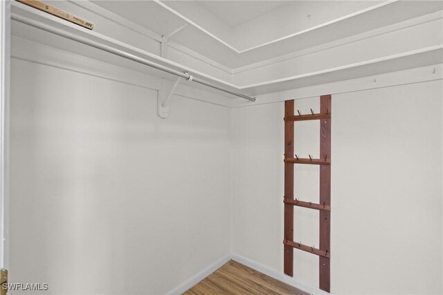 walk in closet featuring light wood-style flooring