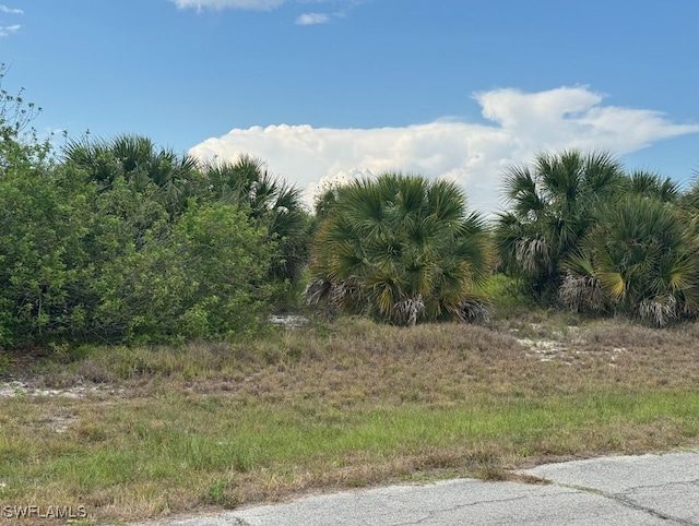 318 Kansas Ter, Labelle FL, 33935 land for sale