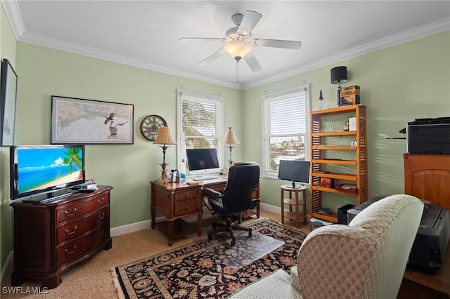 carpeted office space with a ceiling fan, crown molding, and baseboards