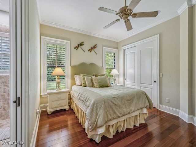 bedroom with ornamental molding, a ceiling fan, dark wood finished floors, a closet, and baseboards