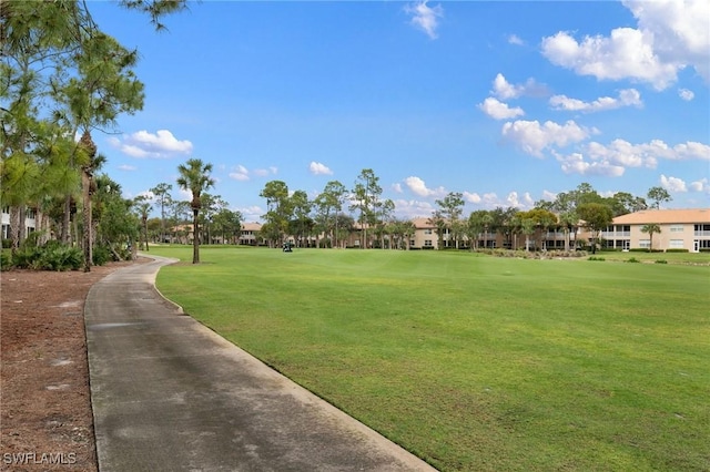 view of community featuring a yard