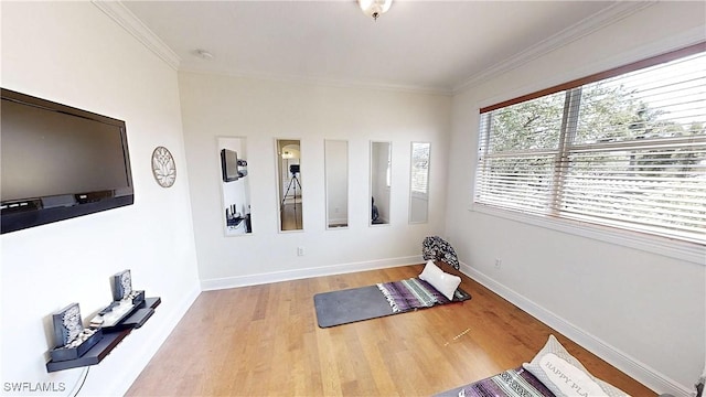 workout room with crown molding, wood finished floors, and baseboards