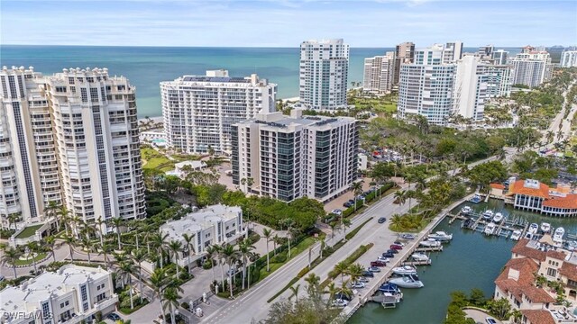 drone / aerial view with a water view and a city view