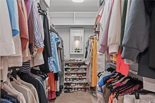 walk in closet featuring carpet