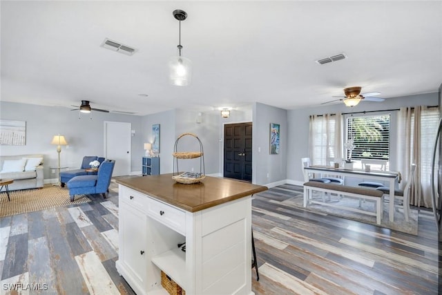 1416 SW 52nd Ter, Cape Coral, FL 33914 - kitchen with a ceiling fan, wood finished floors, open floor plan, and white cabinetry