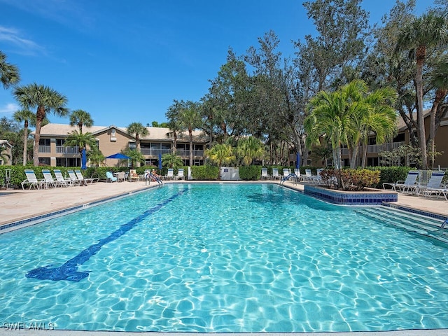 pool with a patio area