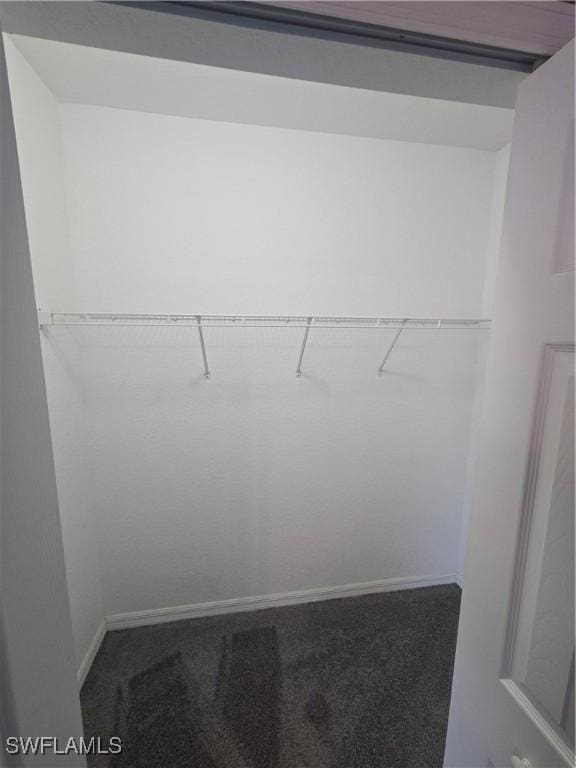 spacious closet with carpet