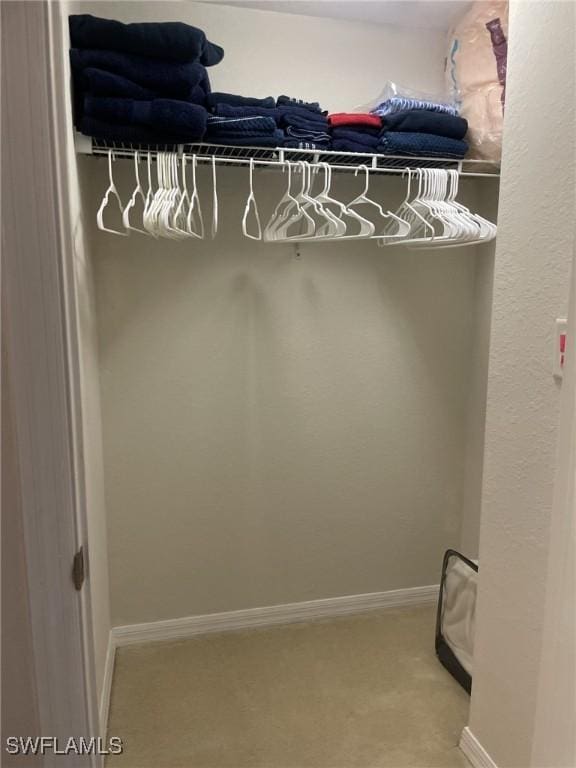 walk in closet with carpet