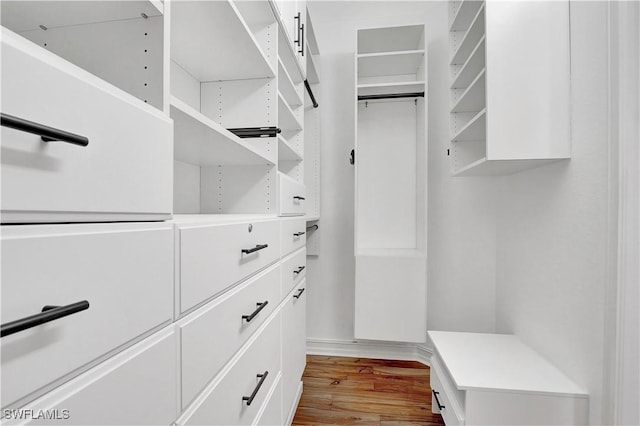 spacious closet featuring wood finished floors