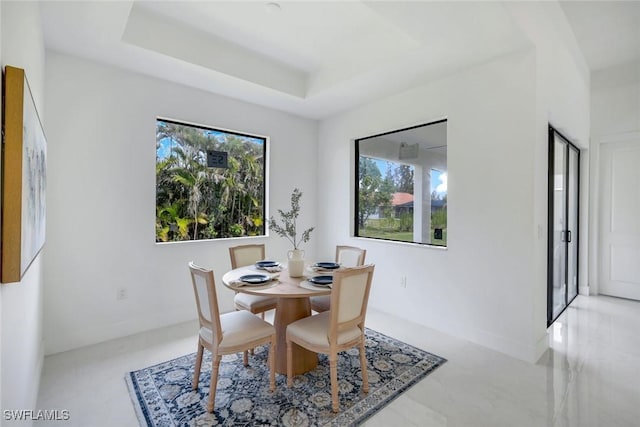 dining area with a tray ceiling