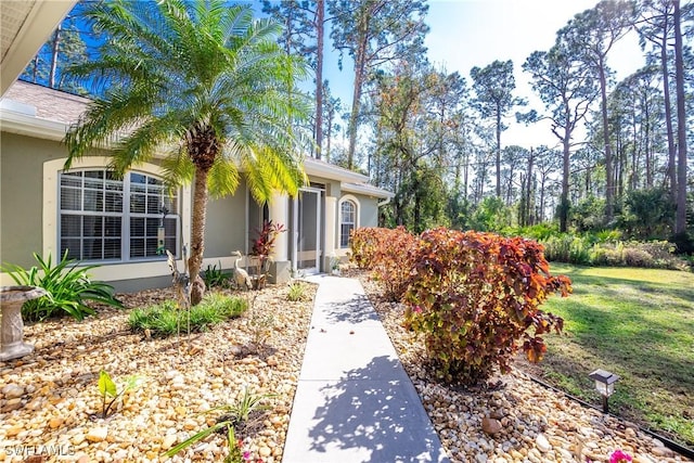 view of exterior entry with a yard and stucco siding