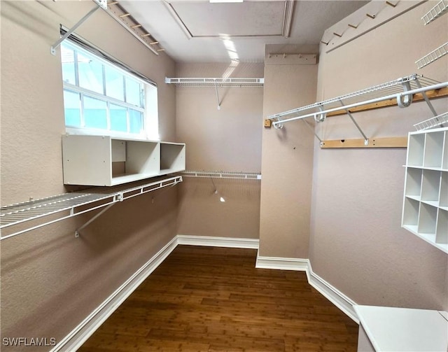 spacious closet with visible vents and wood finished floors