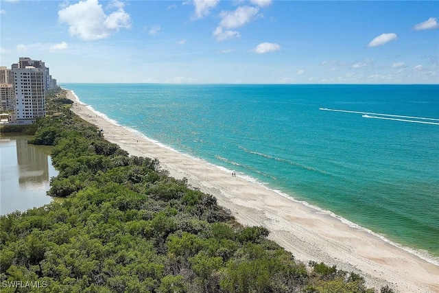 property view of water featuring a beach view