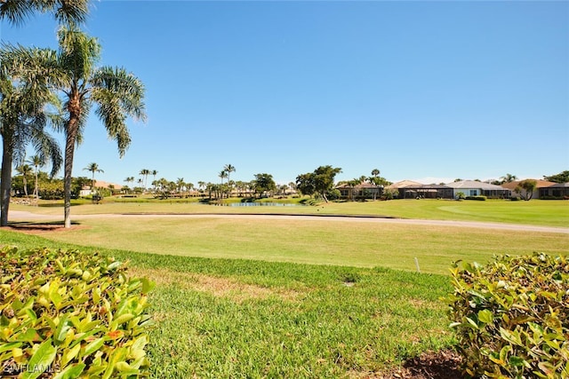 view of property's community with a yard