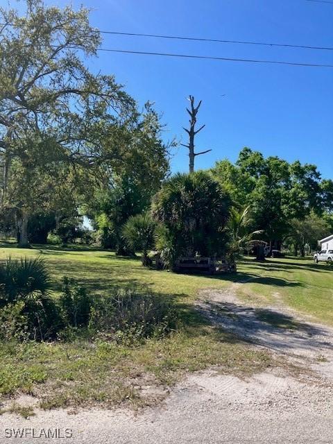 view of yard featuring driveway