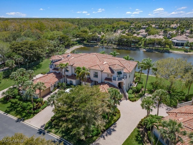 aerial view with a view of trees and a water view