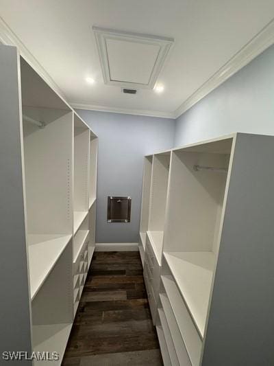 walk in closet featuring attic access and dark wood-style flooring