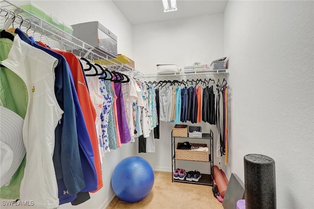 spacious closet featuring carpet floors