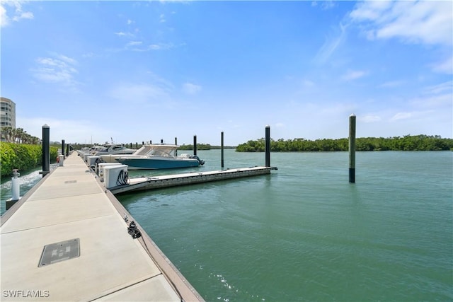 dock area with a water view