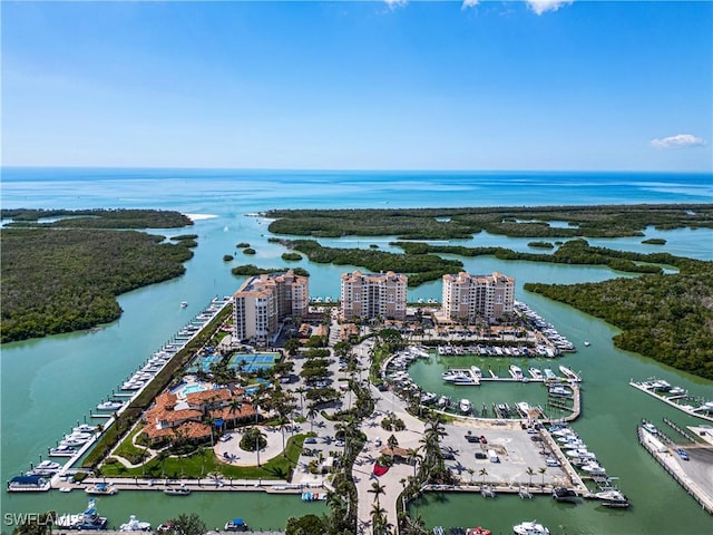 bird's eye view with a city view and a water view