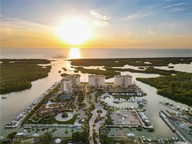 drone / aerial view featuring a city view and a water view