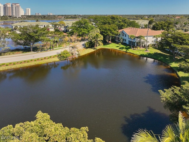 aerial view with a water view