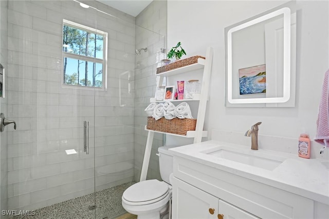 bathroom with toilet, a stall shower, and vanity