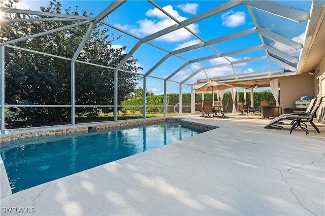 pool featuring a patio and a lanai