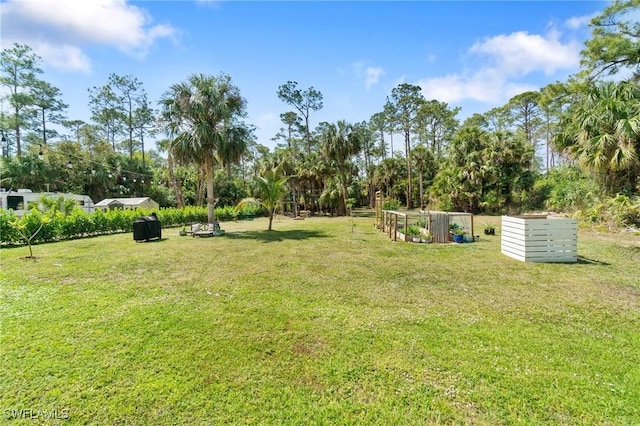 view of yard with a garden