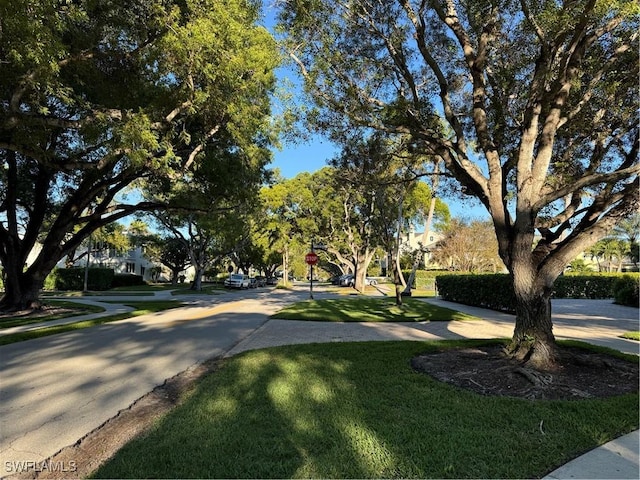 view of street featuring sidewalks and traffic signs