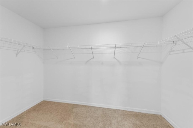 spacious closet featuring light carpet