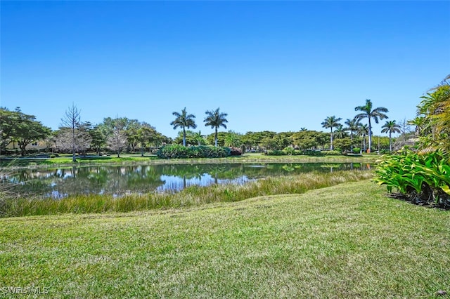 property view of water