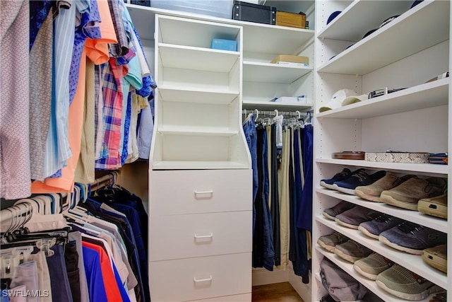 spacious closet with wood finished floors