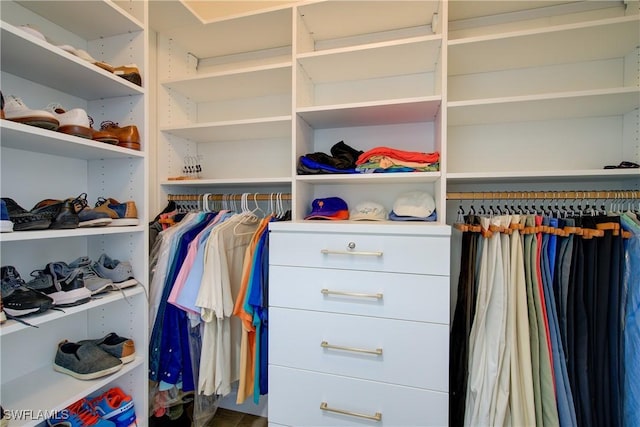 view of spacious closet