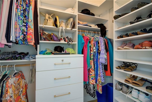 view of spacious closet