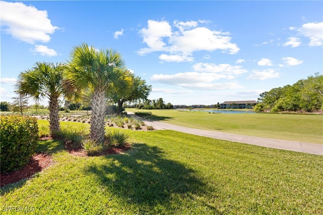 view of home's community with a yard and a water view