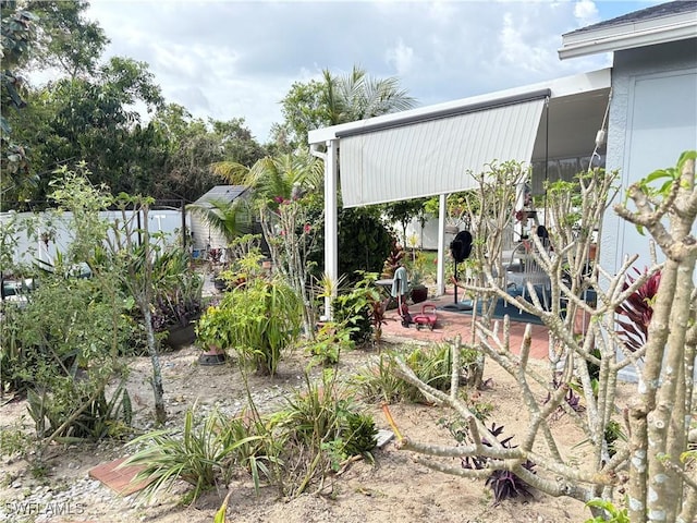 view of yard featuring a patio area