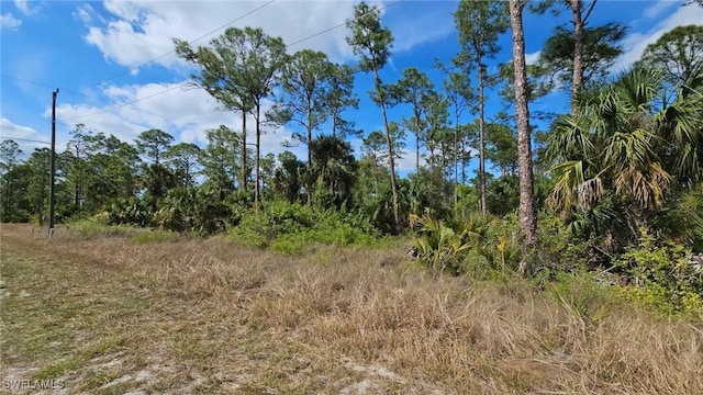 802 W 13th St, Lehigh Acres FL, 33972 land for sale