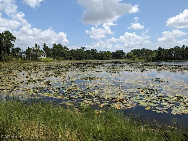 Listing photo 2 for 1045 Marathon Ave S, Lehigh Acres FL 33974