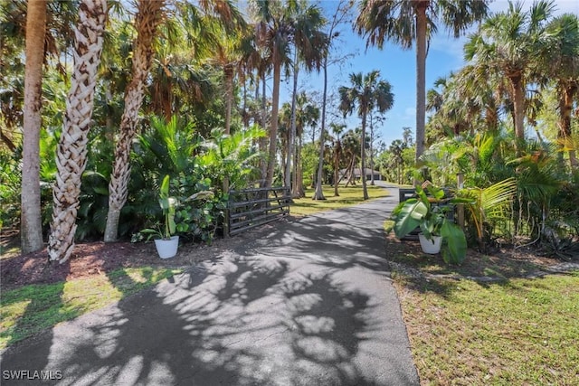 view of road featuring aphalt driveway and a gated entry