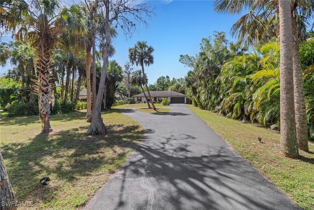 view of road featuring driveway