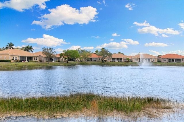 water view featuring a residential view