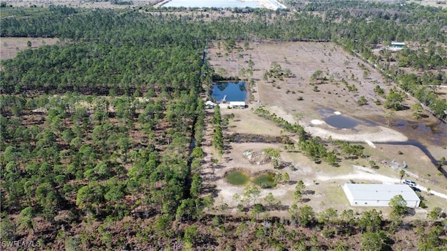 bird's eye view featuring a water view and a view of trees