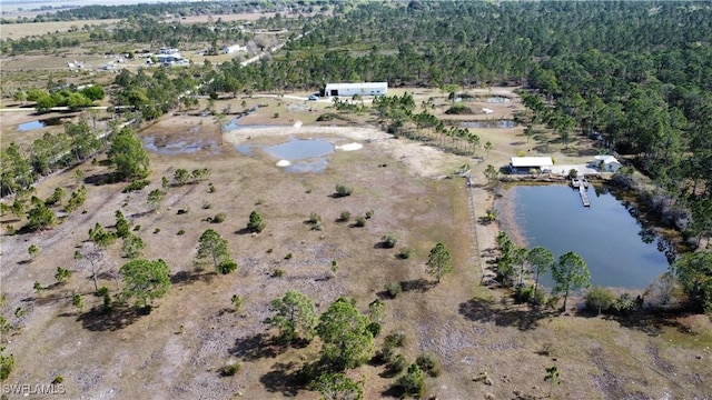 drone / aerial view with a water view and a forest view